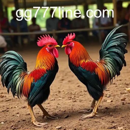 Exploring the World of Sabong Games with GG777